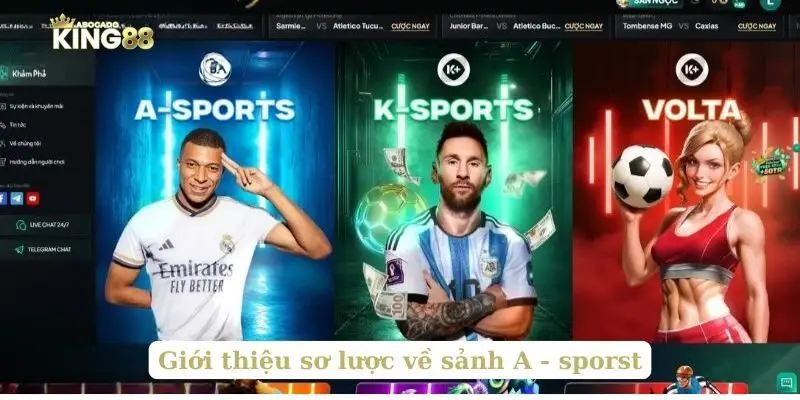 Giới thiệu sơ lược về sảnh A - sporst