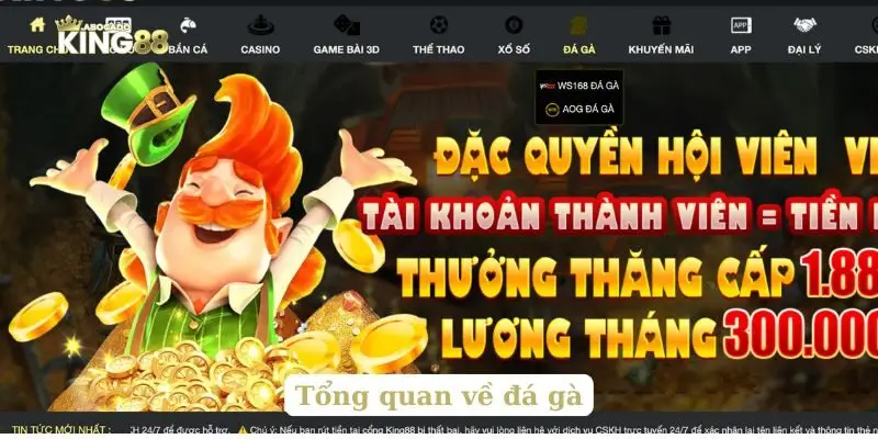 Tổng quan về đá gà